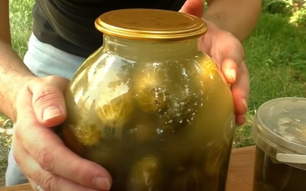 Ароматные квашеные огурчики на зиму. Хрустят, как бочковые: рецепт без уксуса и сахара